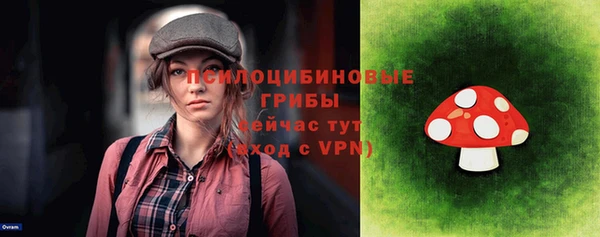 ПСИЛОЦИБИНОВЫЕ ГРИБЫ Алексин
