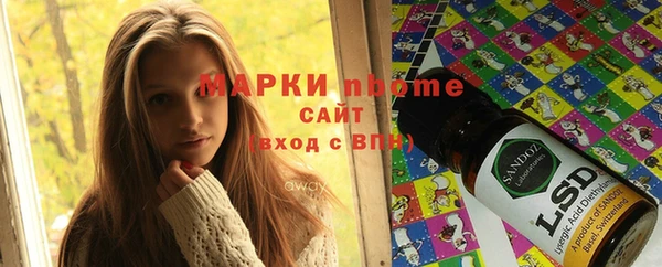 ПСИЛОЦИБИНОВЫЕ ГРИБЫ Алексин